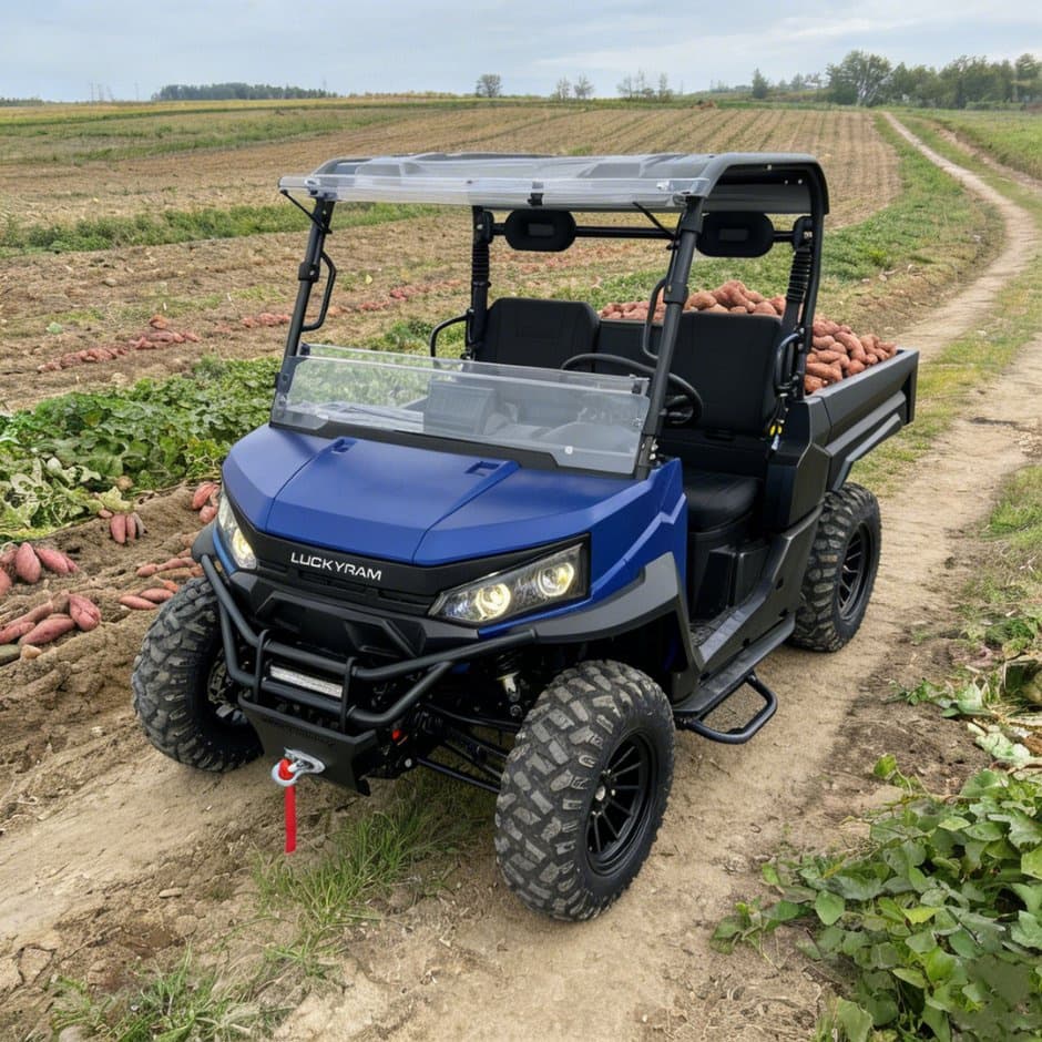 73.6V 4WD UTV 10kw AC मोटर EPS स्टीयरिंग 150ah बैटरी